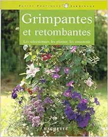 Grimpantes et retombantes: Pour fleurir et habiller vos balcons et terrasses de pots, jardinières, bacs et suspensions